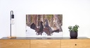 P1788777.webp