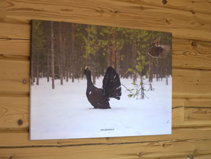 Metsola sarja canvas taulu