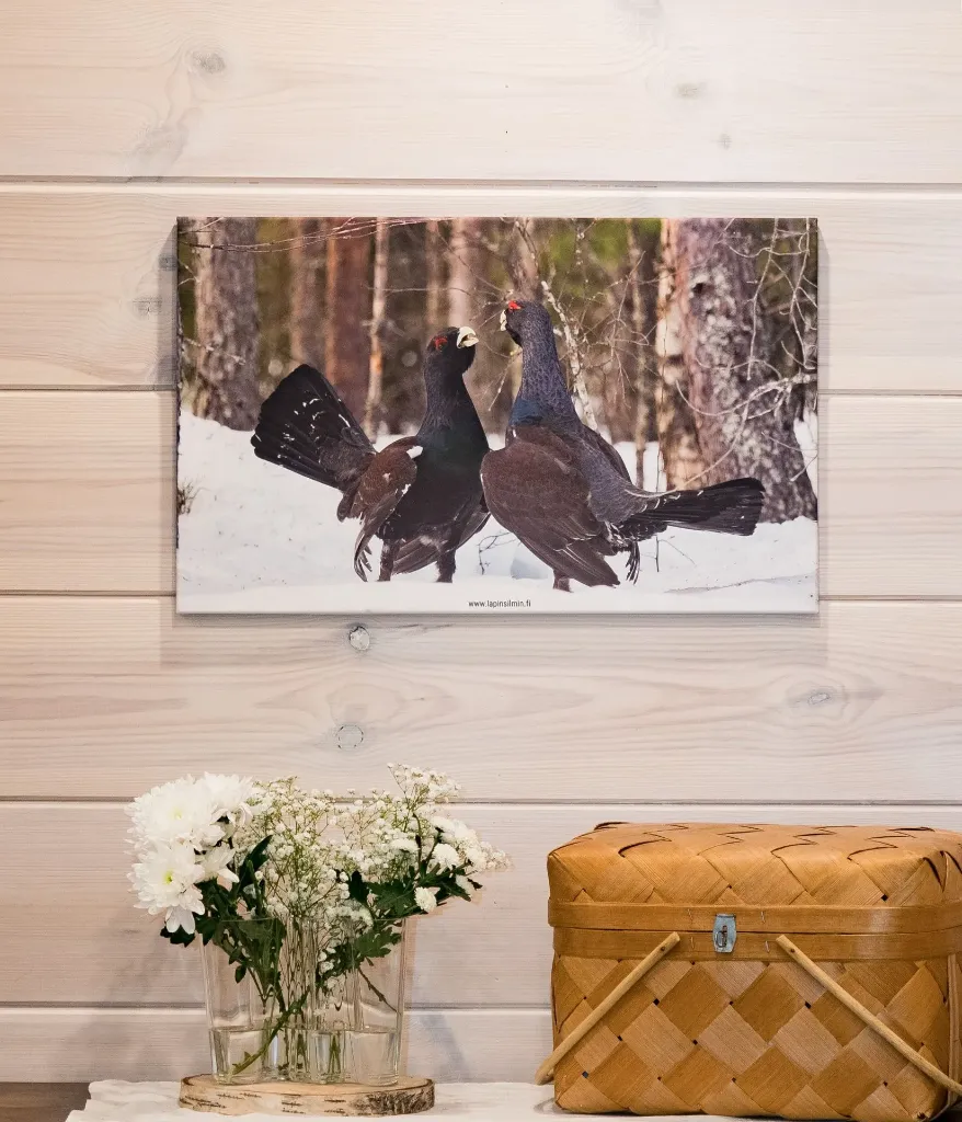 Canvas-taulut (65x40cm, Reviirineuvottelu varastossa 65x40cm koko)