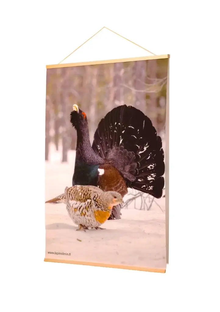 Metsola sarja canvas juliste